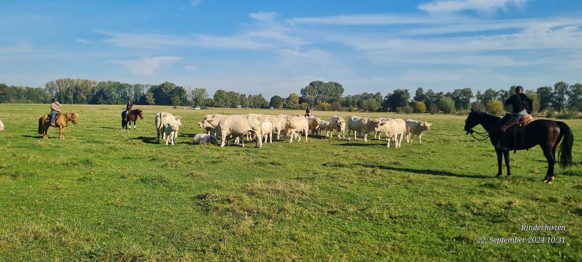 Einsteigerlehrgang Nobbenhof Kevelaer