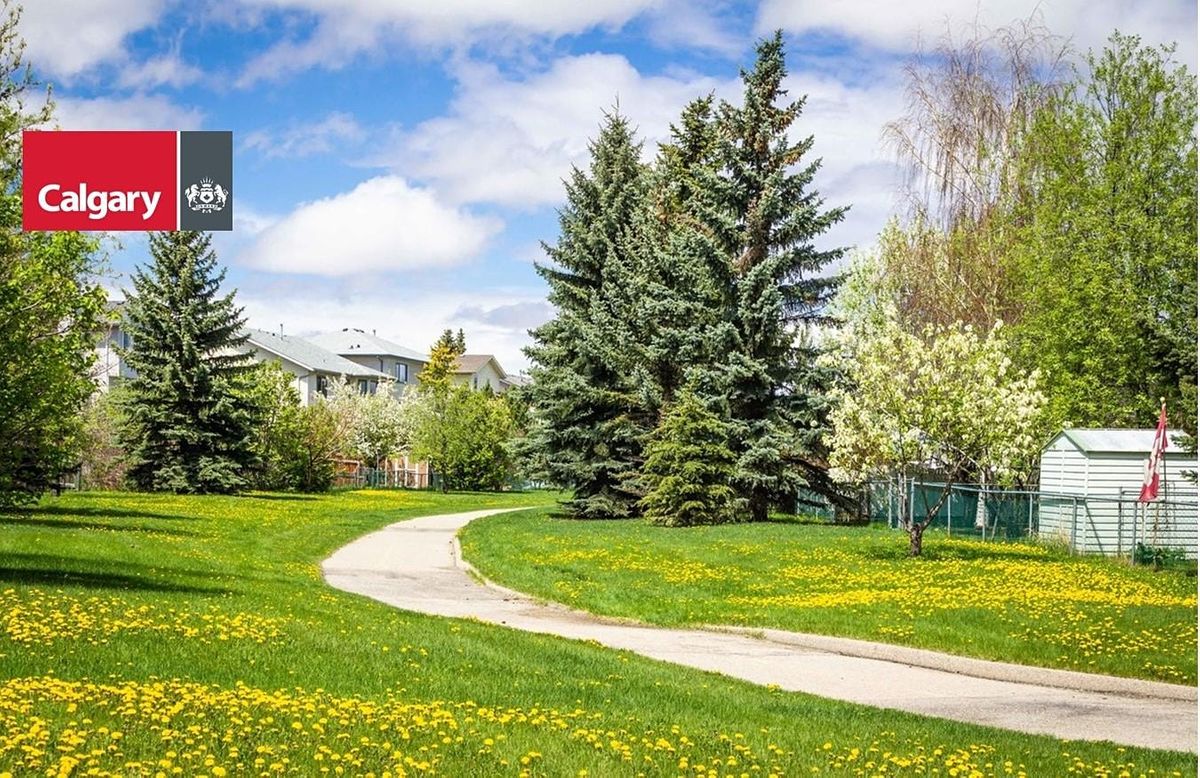 YYC Trees - Tree Identification Walk