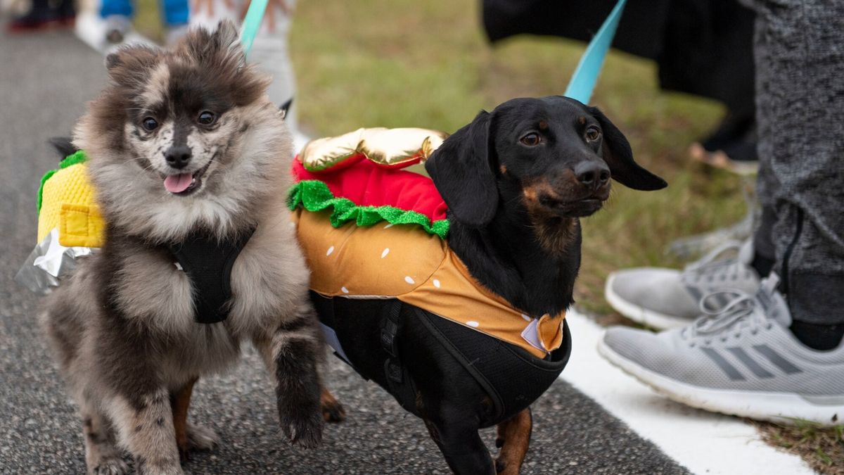 Halloween Howler 5K Run