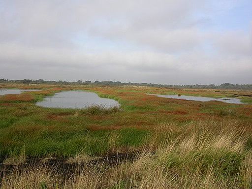 Talk on The Sands and Peats of Northwest Lincolnshire