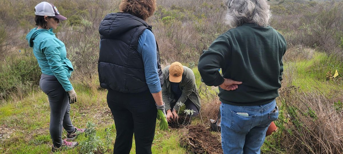 Gonzales Canyon Habitat Restoration