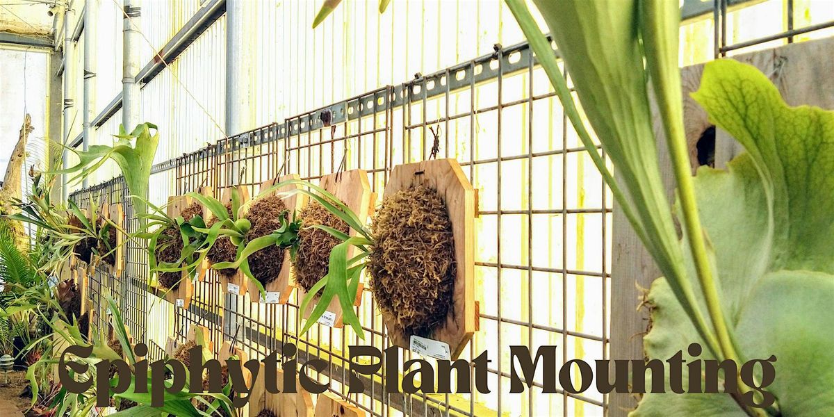 Plant Mounting Workshop