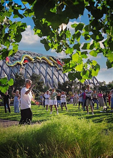 Dragon Fall Tai Chi Qi Gong ~ Eisenhower Park ~ Wednesday Mornings