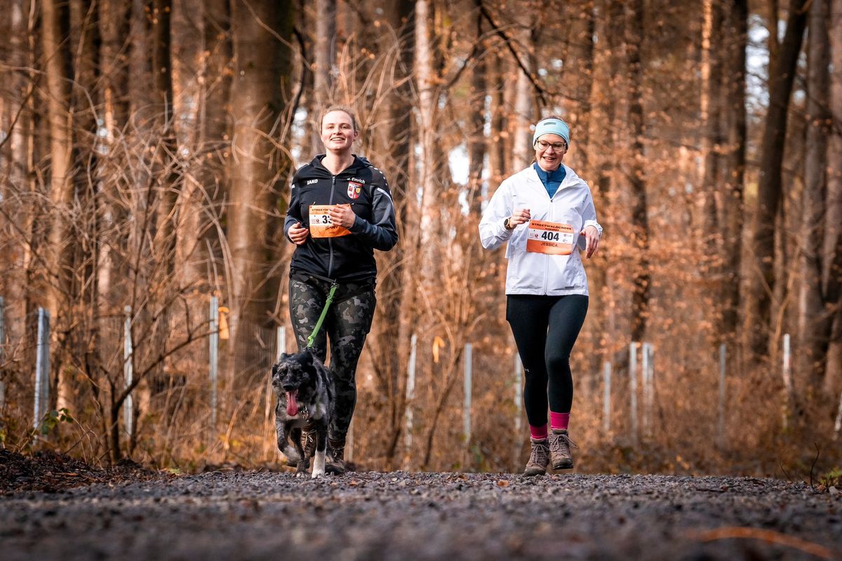 SPESSART SILVESTER TRAIL