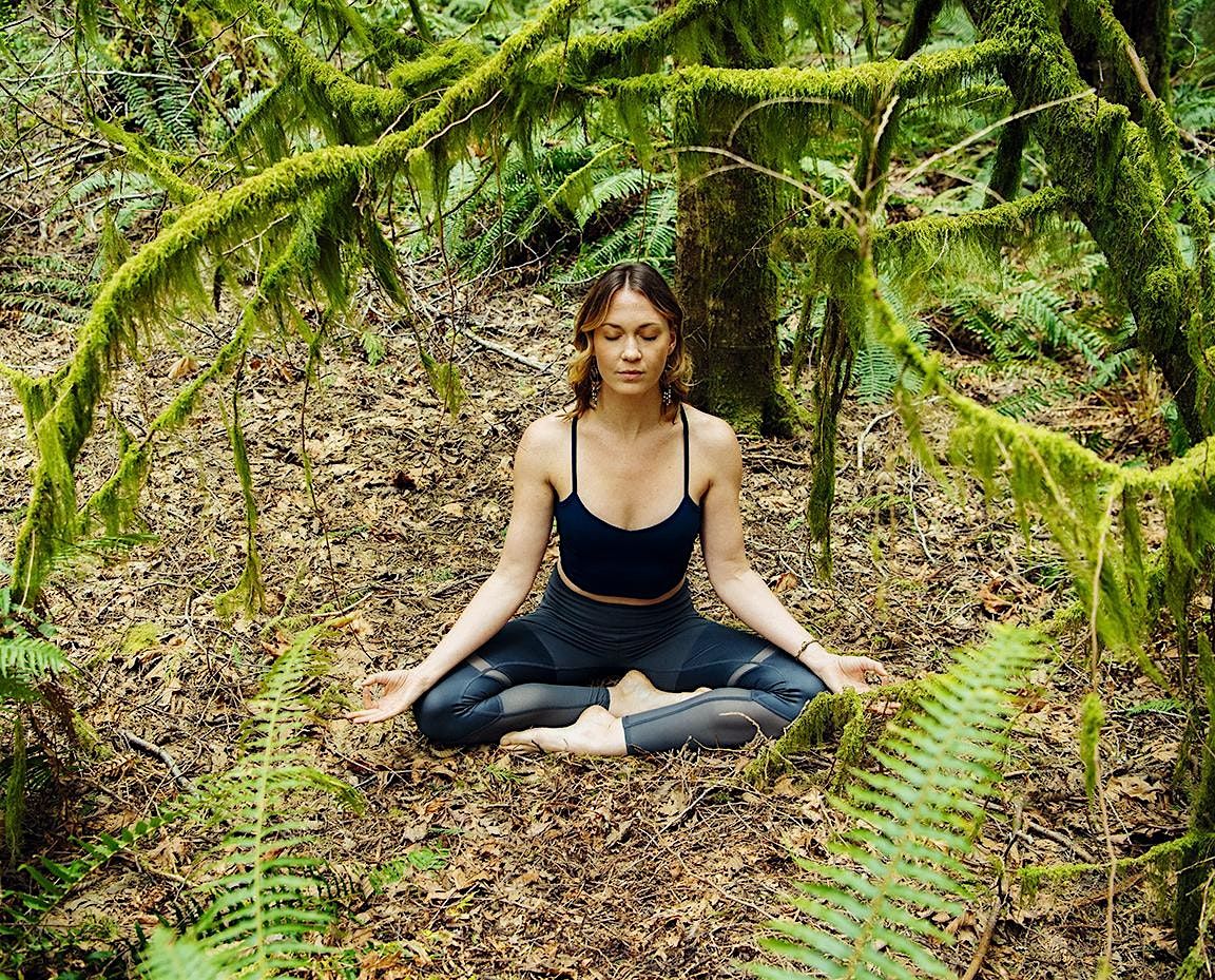 3-hour Yoga Retreat at Knockin\u2019 Roots Plant Co. with Emily Silver