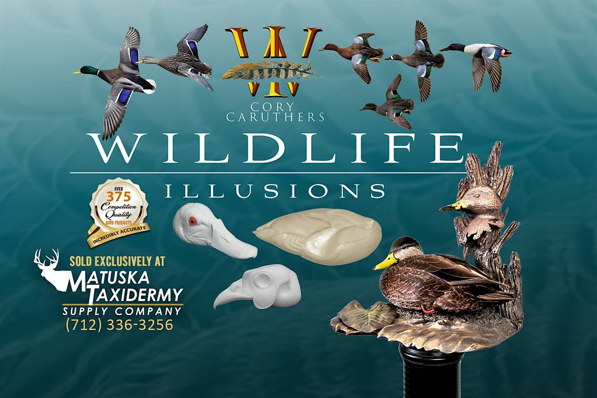 Wildlife Illusions Taxidermy Workshop \/ Oct. 7 - 11