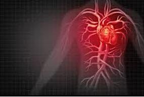 Understanding Heart Failure