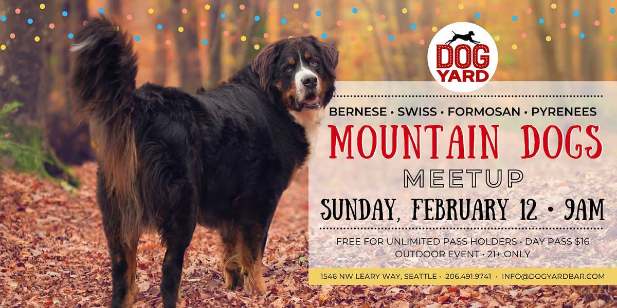 Mountain Dog Meetup at the Dog Yard Bar in Ballard - Sunday, February 12