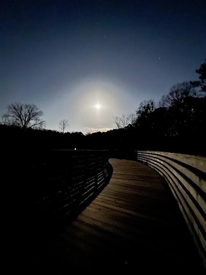 Full Moon Night Walk at Mason Mill Park