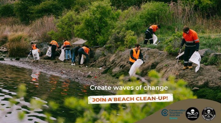 Prince of Wales Bay, TAS: Derwent Park clean-up: Marine Debris Campaign 