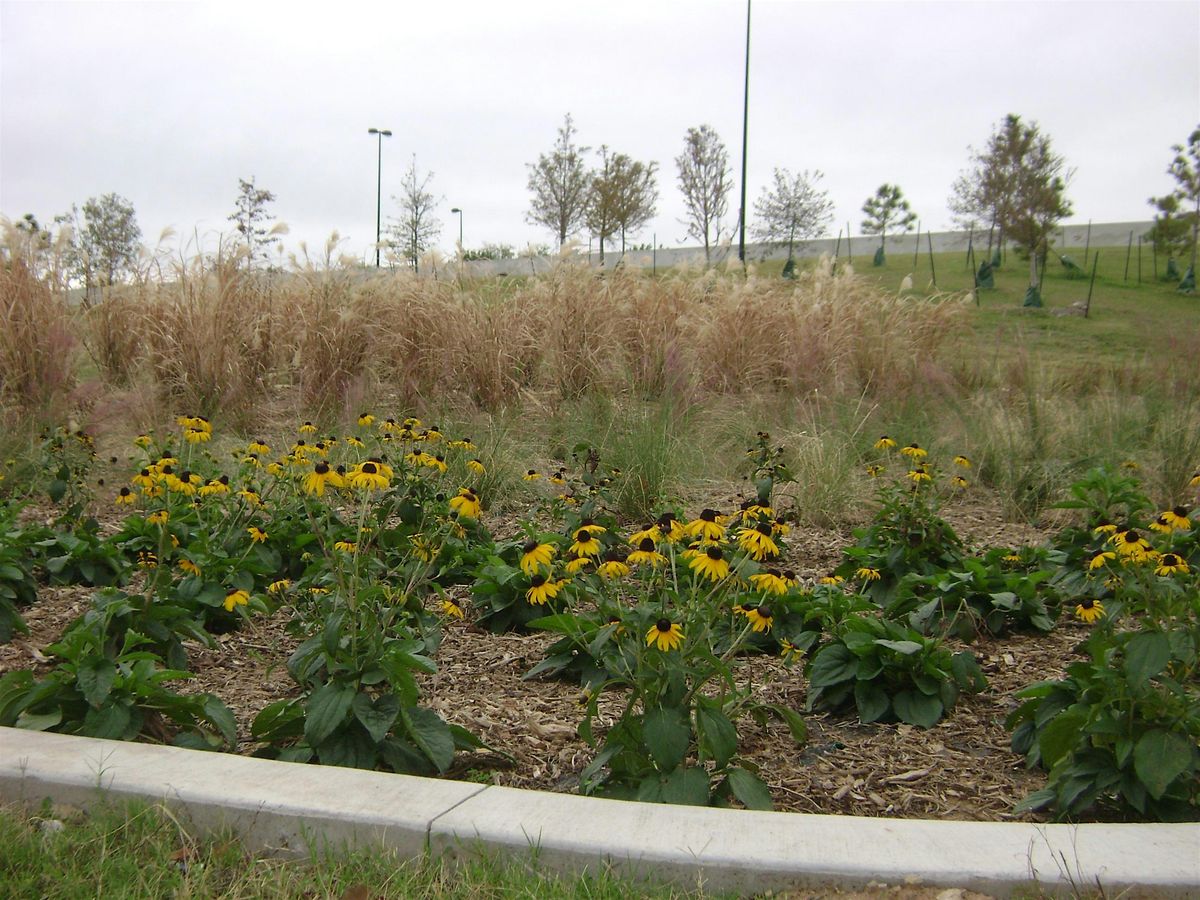 W**d Landscape Beds at I-44 & Riverside Dr