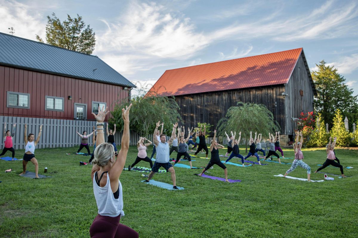 Vino & Vinyasa with Lindsay Cook at Great Frogs Winery