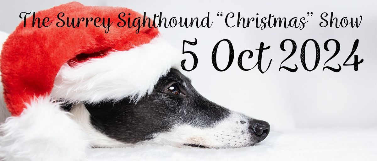 Surrey Sighthound "Christmas" Show October 2024