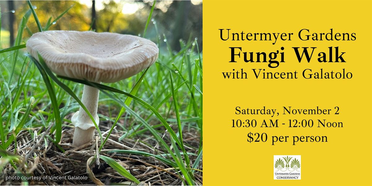 Fungi Walk - October 26