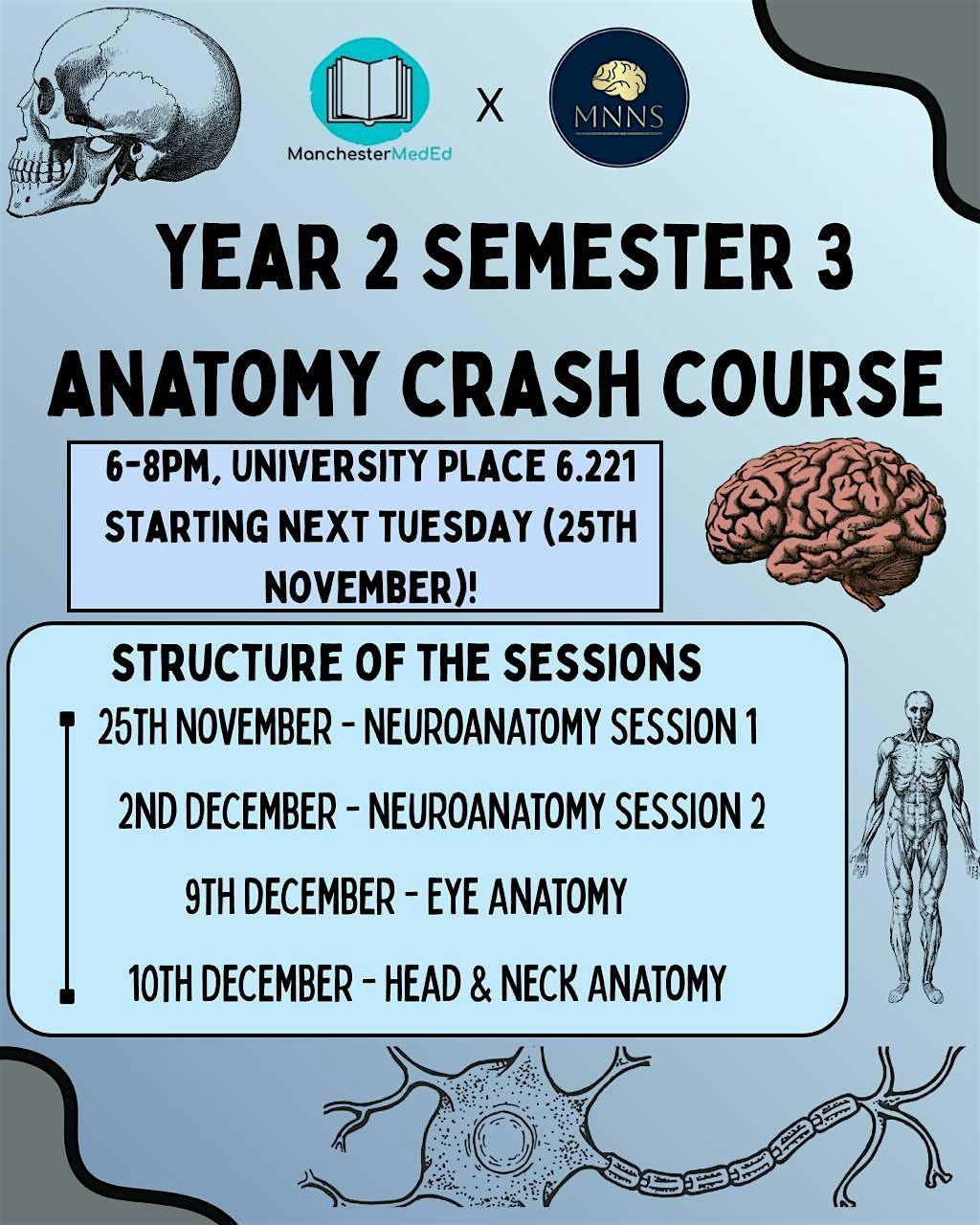 MedEd x MNNS Year 2 Sem 3 Anatomy Crash Course
