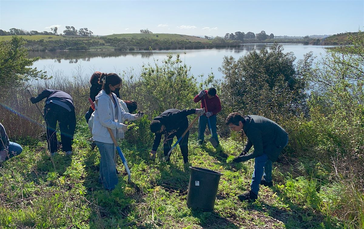 Stewardship Saturday: Planting Trees to Restore San Francisco and the Ocean