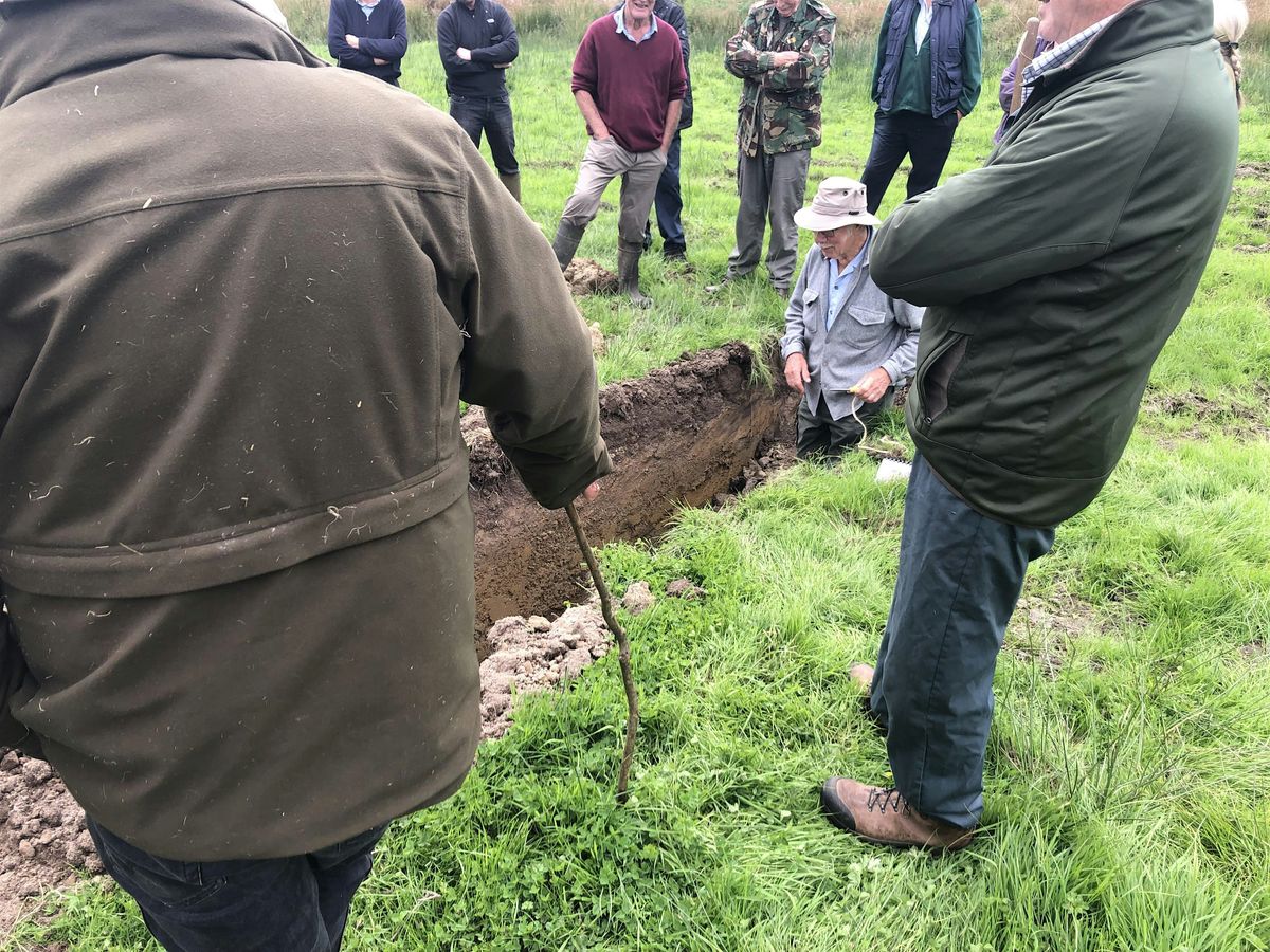 Grazing Discussion Groups - Visit to SFI Trial Plots