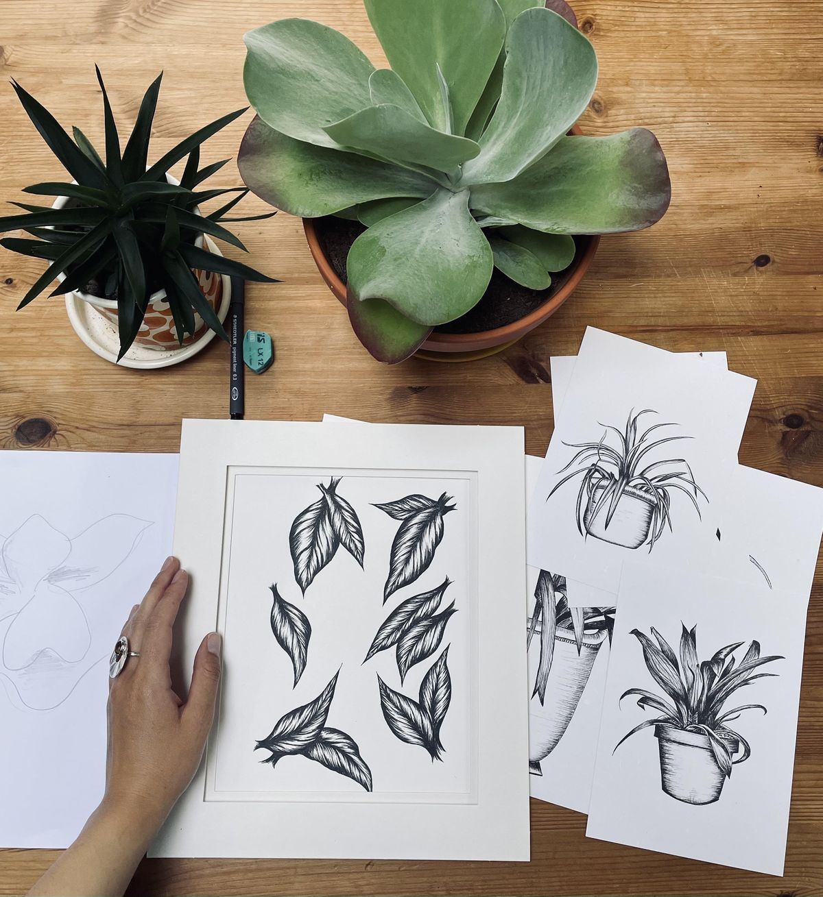 Mindful Plant Drawing Workshop in Battersea