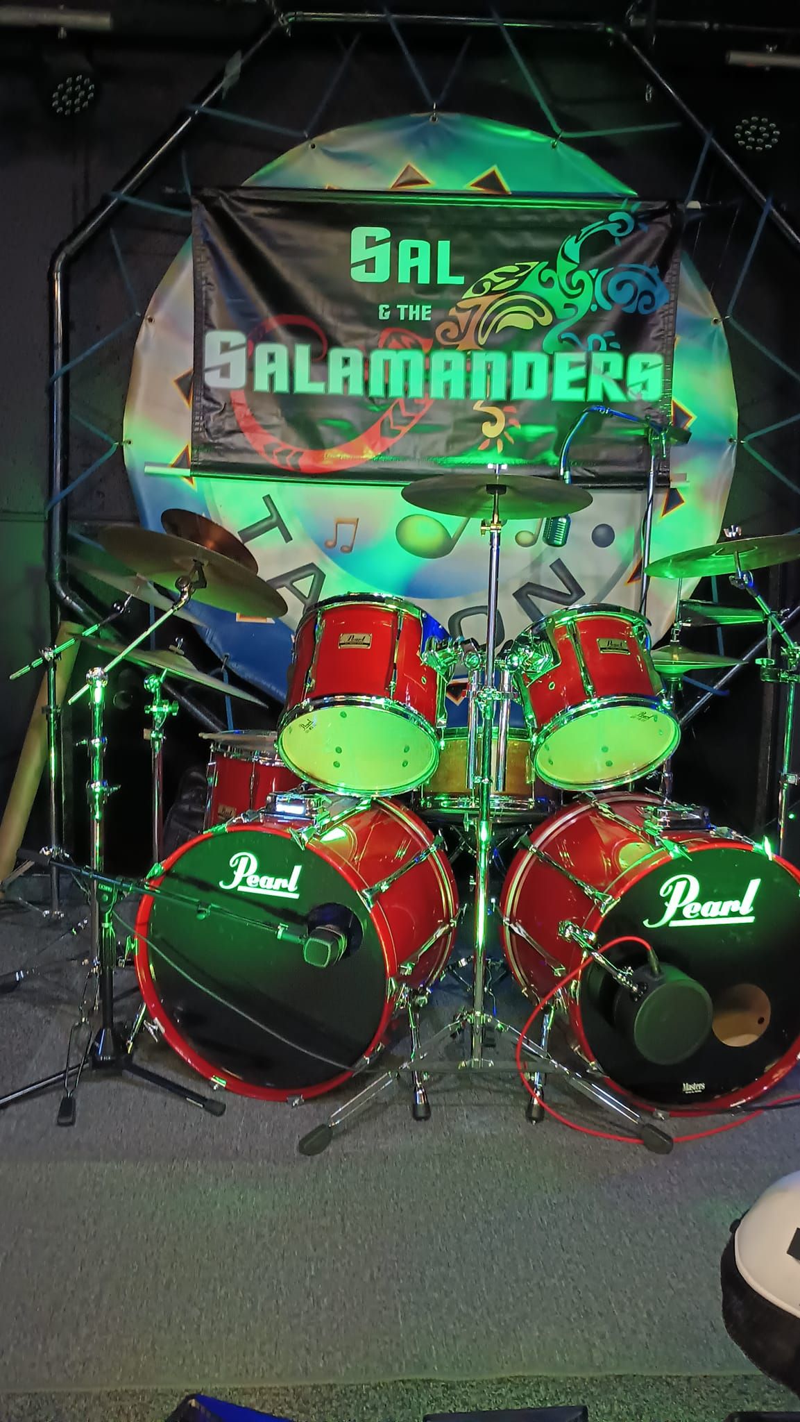 Sal and The Salamanders ~ good time rock and roll