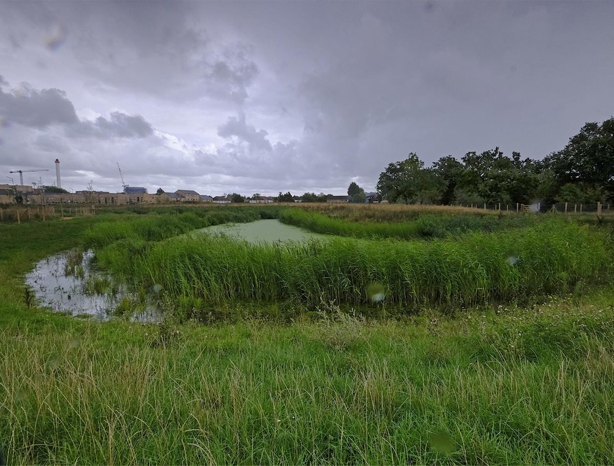 The Wetland & Flood Alleviation Scheme  at Headstone Manor Park