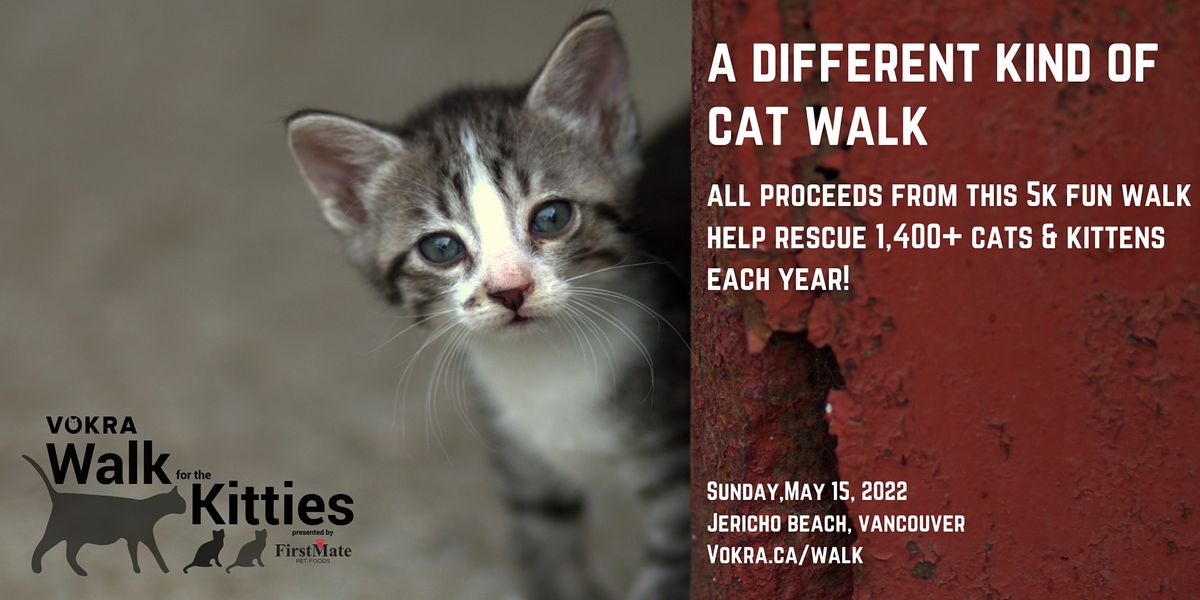 VOKRA Walk for the Kitties 2022