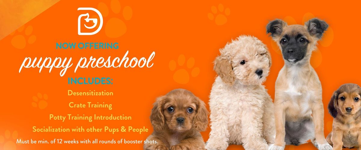 Puppy Preschool Group Classes