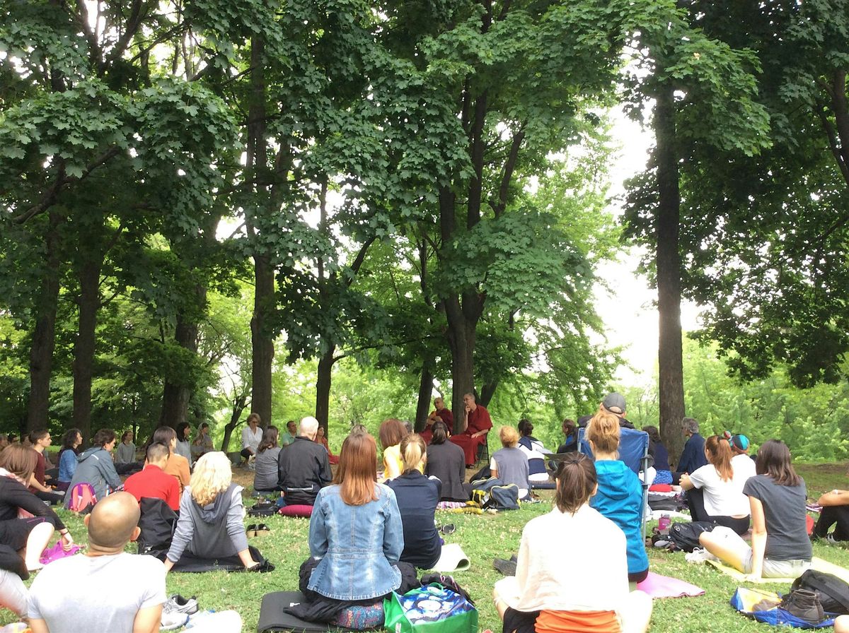 FREE - Meditation in High Park with Buddhist Monk Tenzin