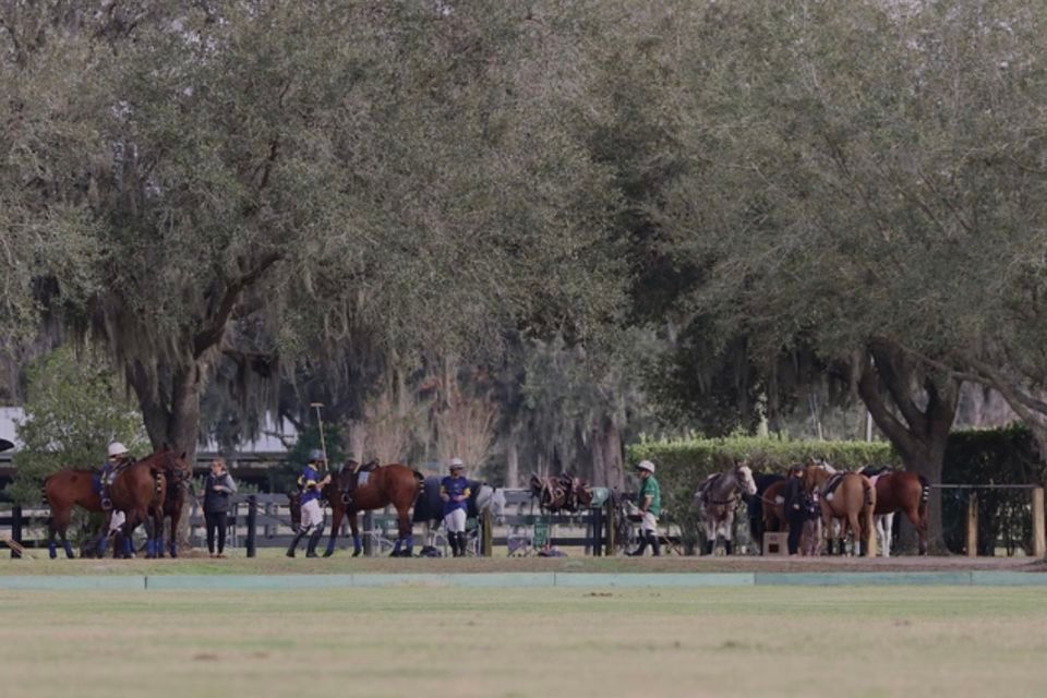 DI Polo Invitational, 1003 Cowart Road, Plant City, FL, 27 January 2024