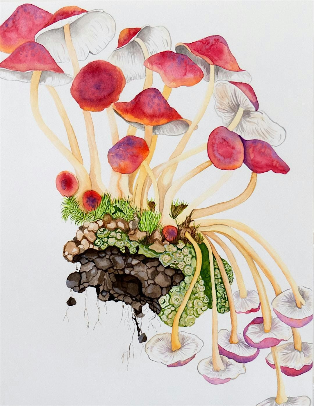 Watercolor Painting Mushrooms with Amanda