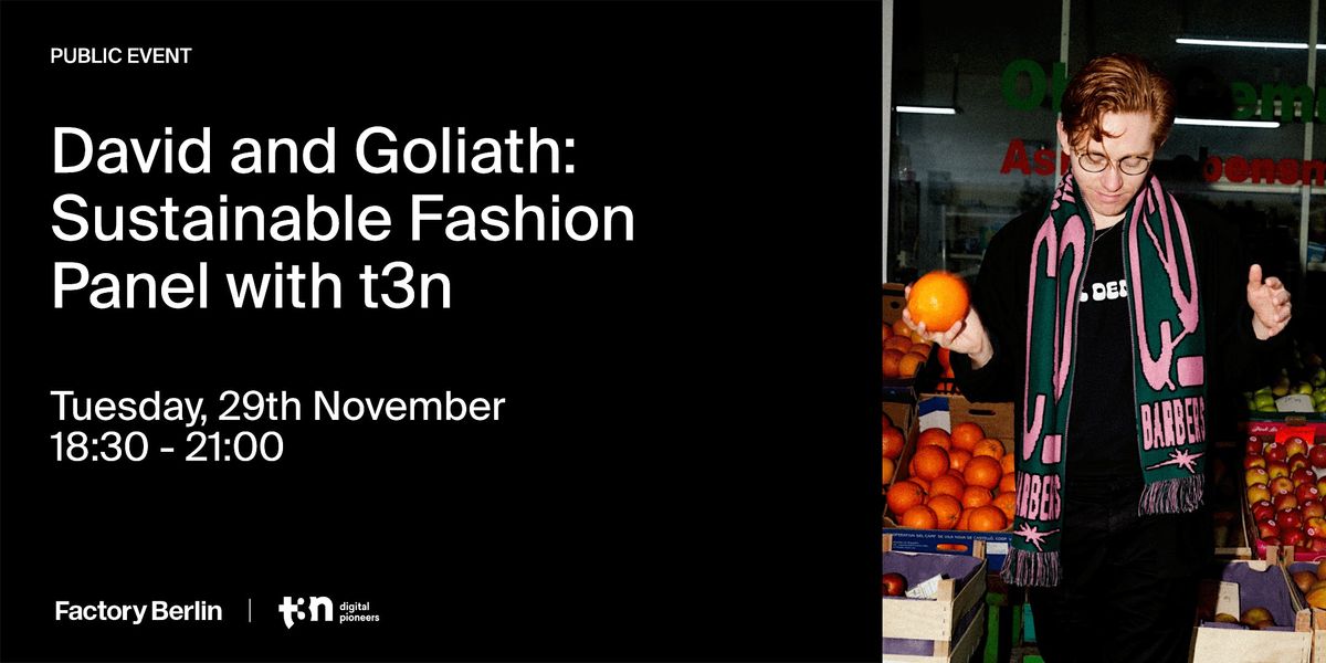 David and Goliath: Sustainable Fashion Panel with t3n
