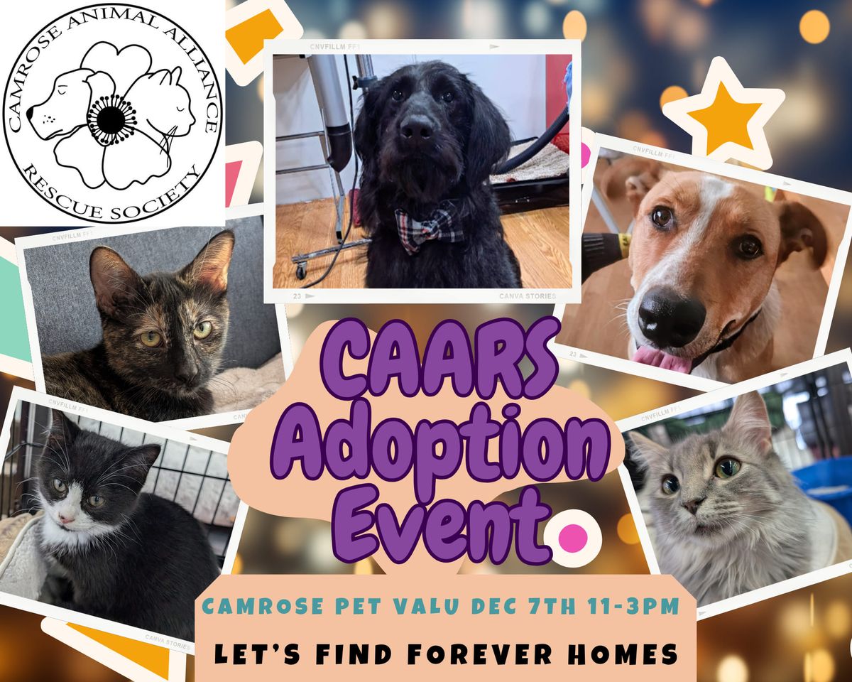 CAARS ADOPTION EVENT