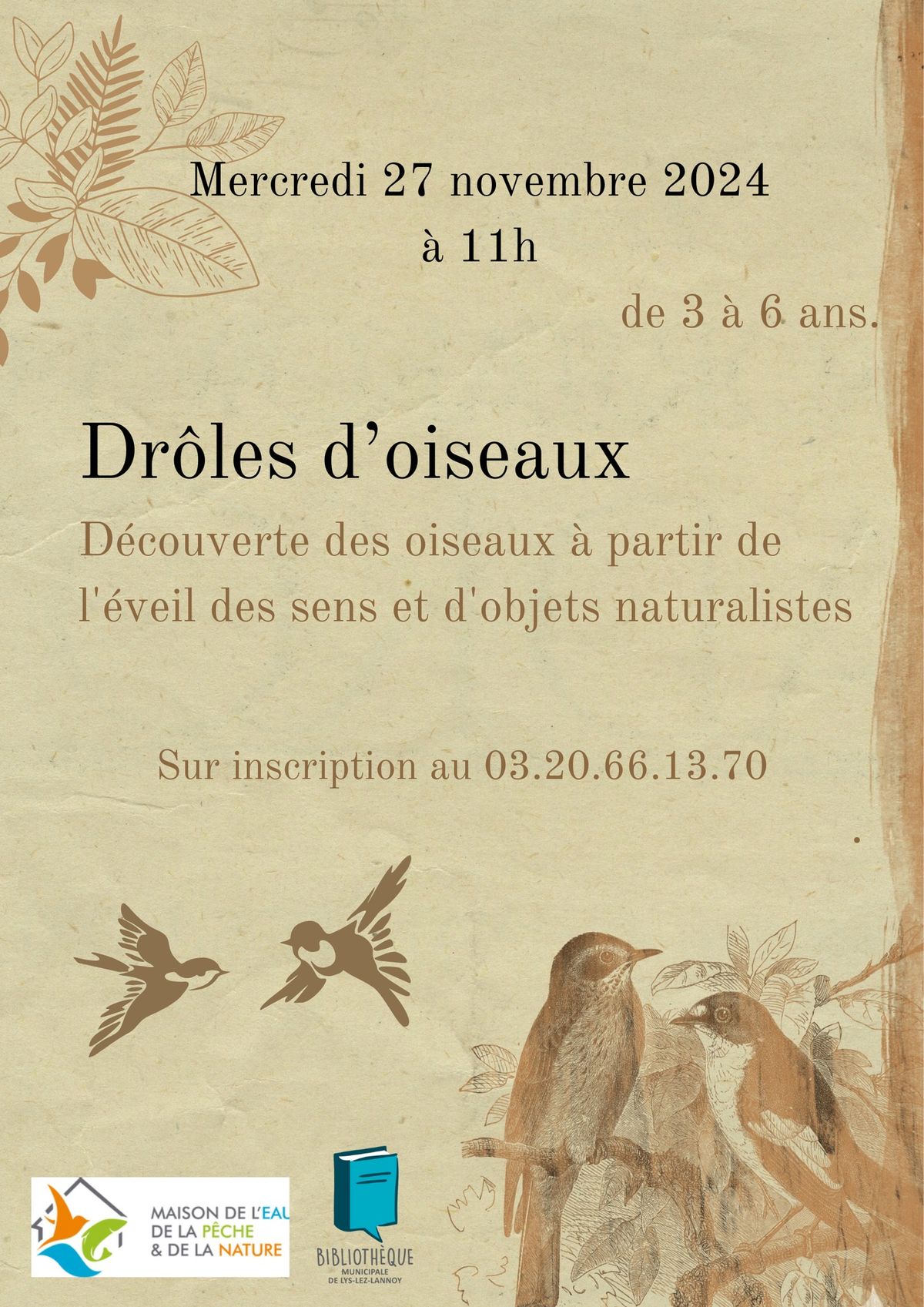 Dr\u00f4les d'oiseaux