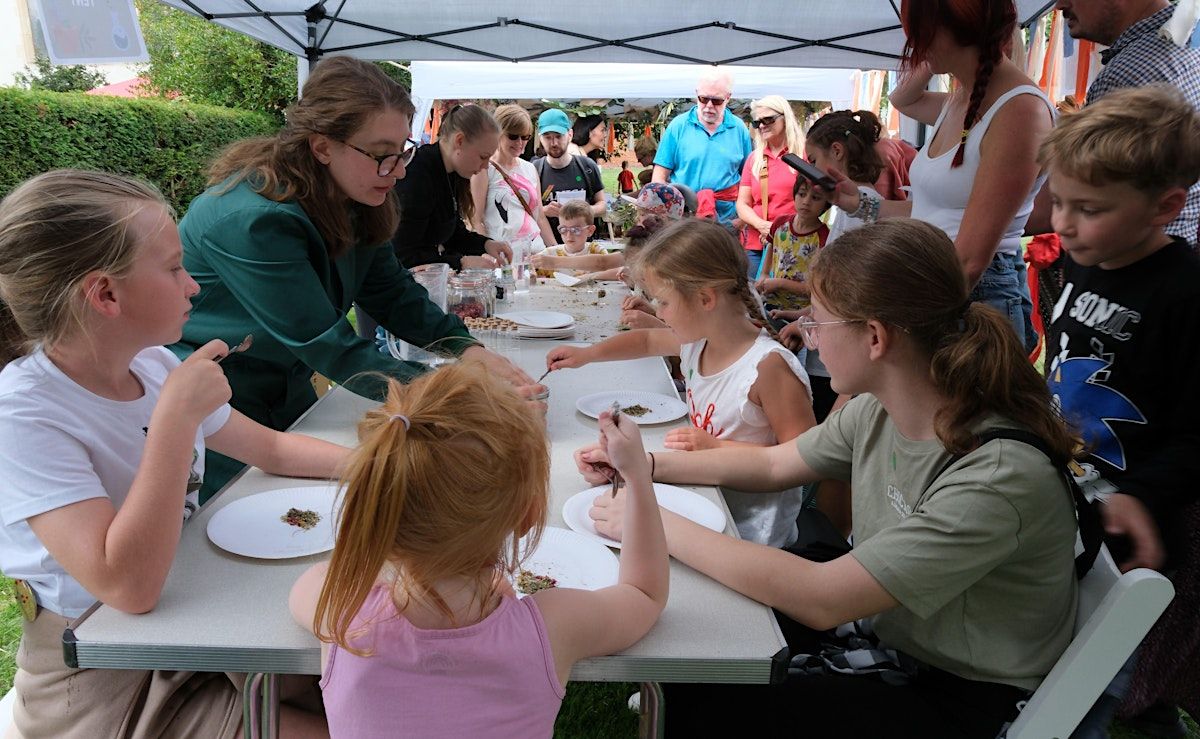 Event Photos