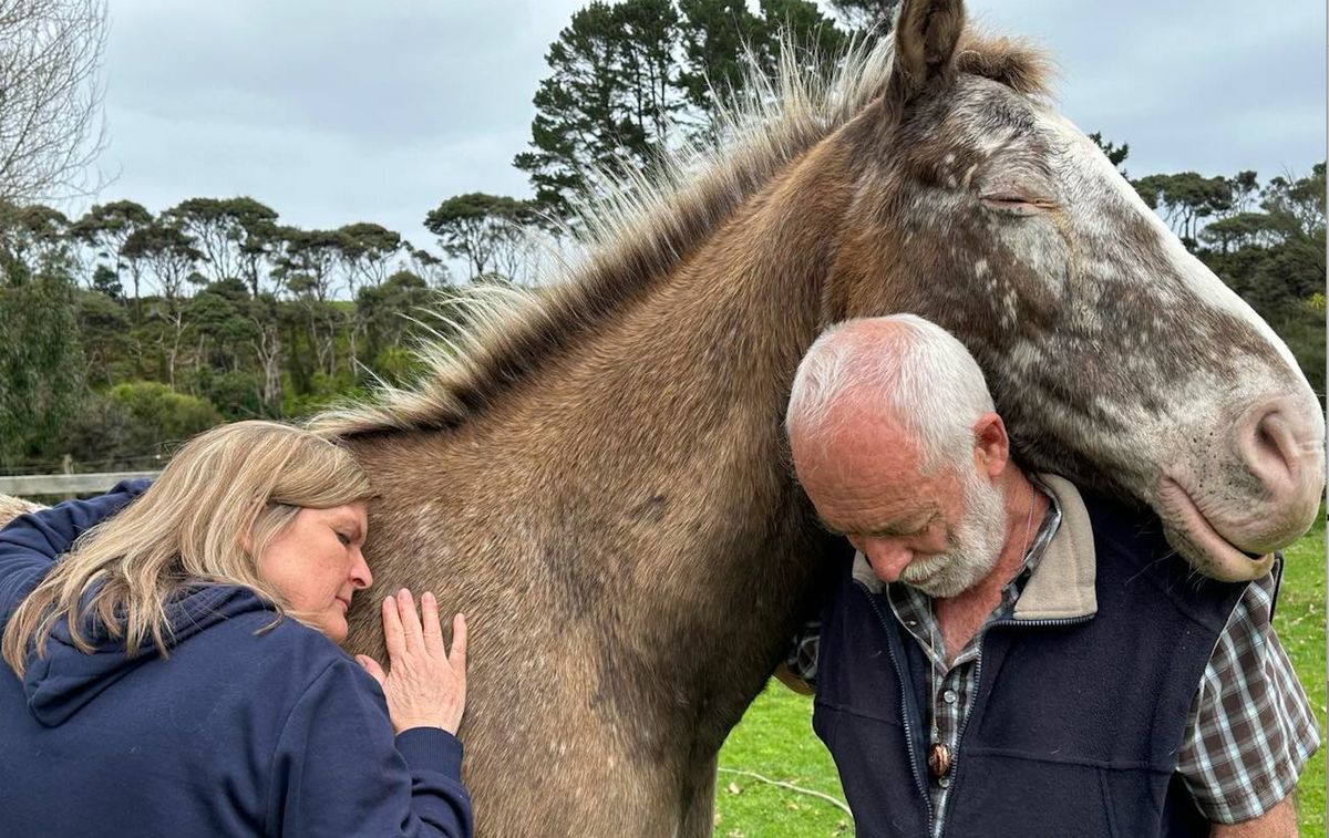 Horses, You & Your Relationship