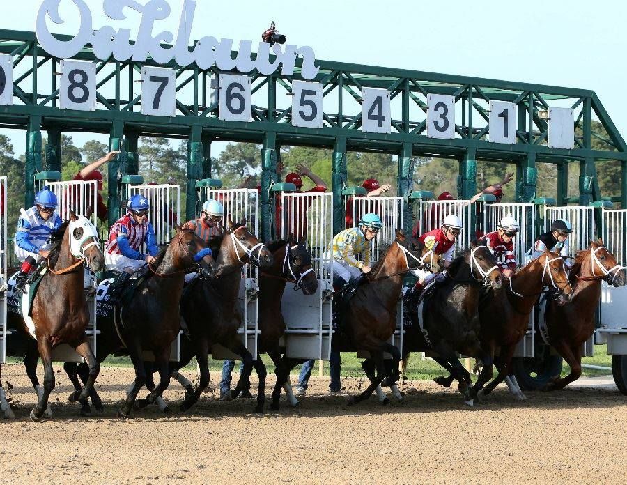 Boomers Day at the Races