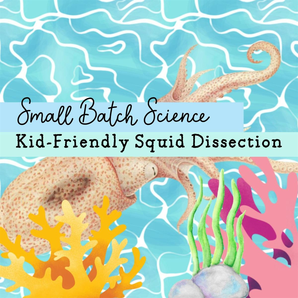 Small Batch Science: Kid-Friendly Squid Dissection