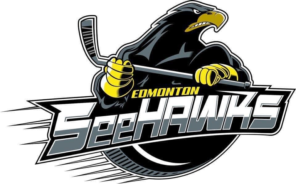 Join Us for the 2024 Blind Hockey Showdown! Edmonton SeeHawks vs MWHL All-Stars!
