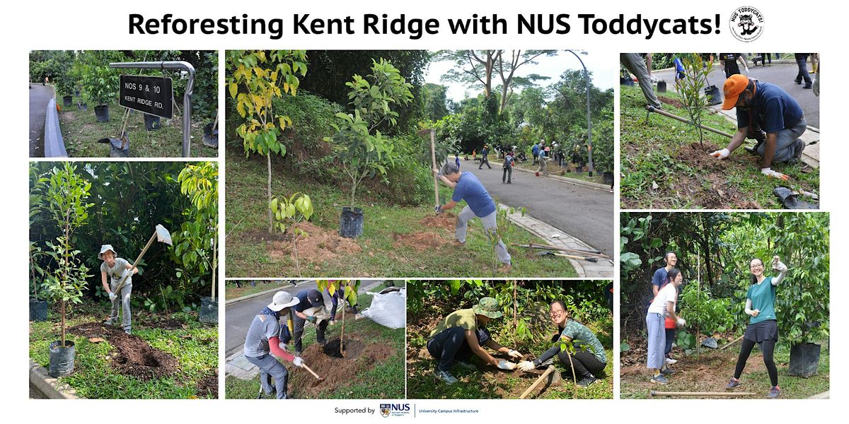 Reforesting Kent Ridge with NUS Toddycats! (20th Apr 2024 - Reading Week)