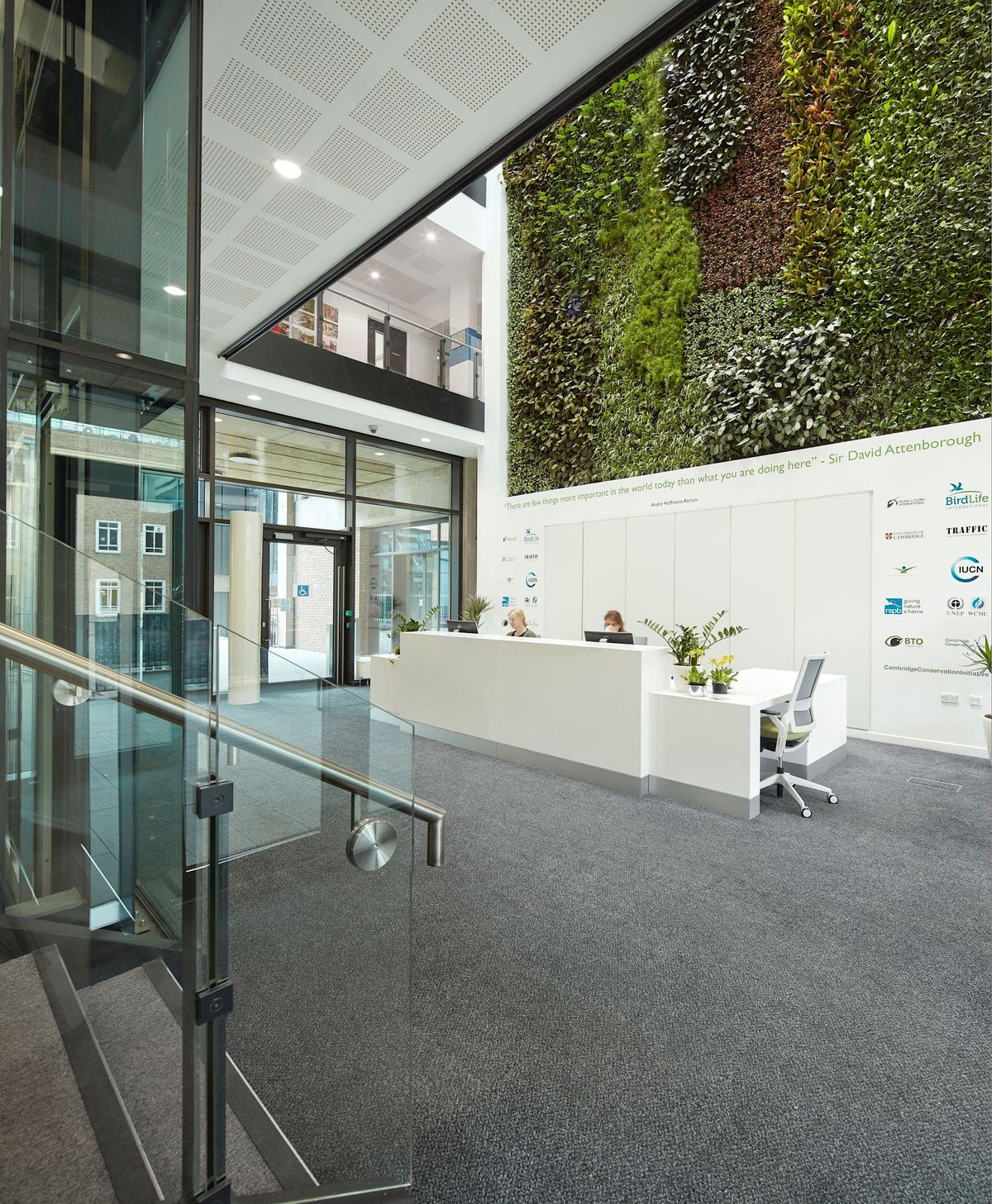 Tour of the David Attenborough Building for Zoology Live! 2023, Museum