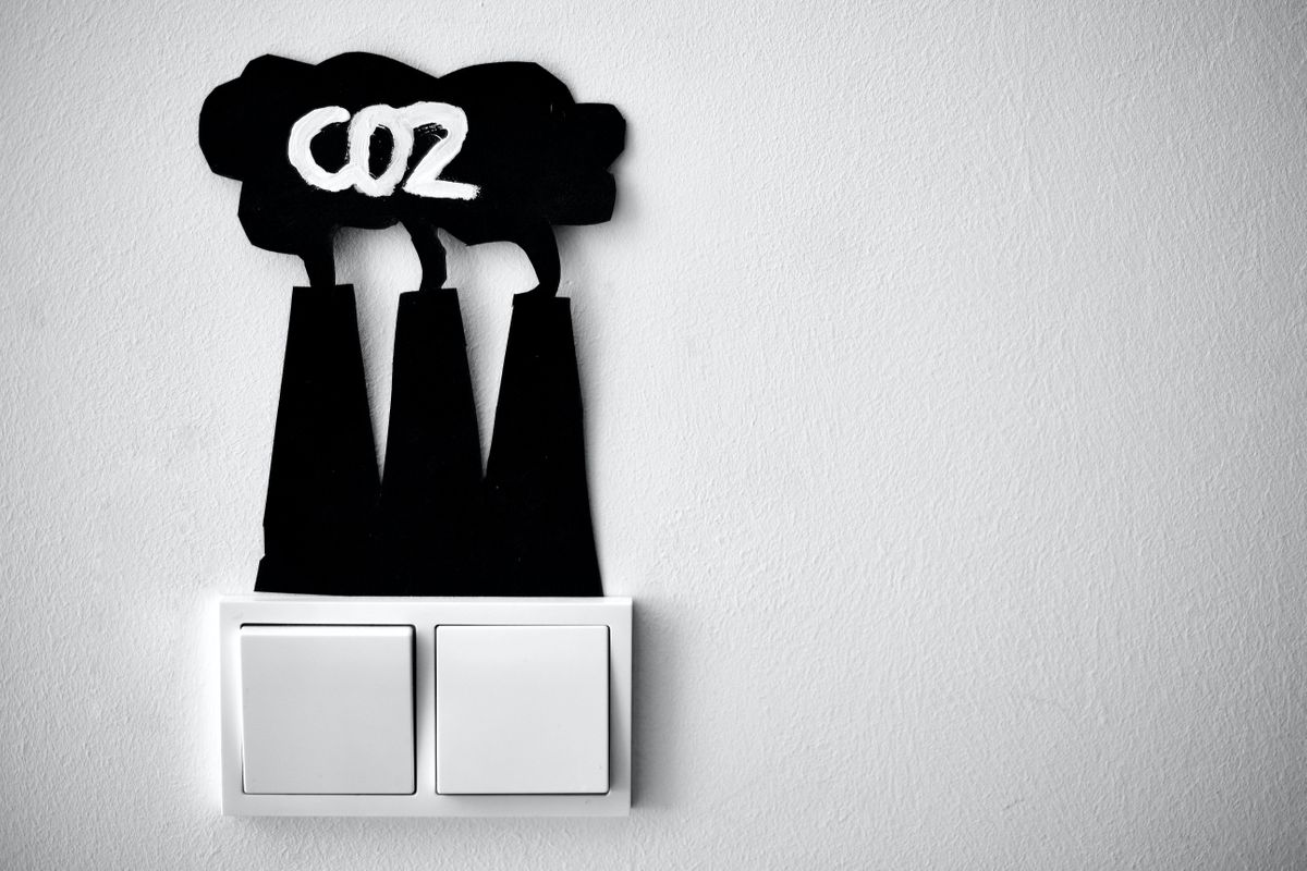 Taster: Carbon Literacy, Climate Justice & Careers in \/Sustainability