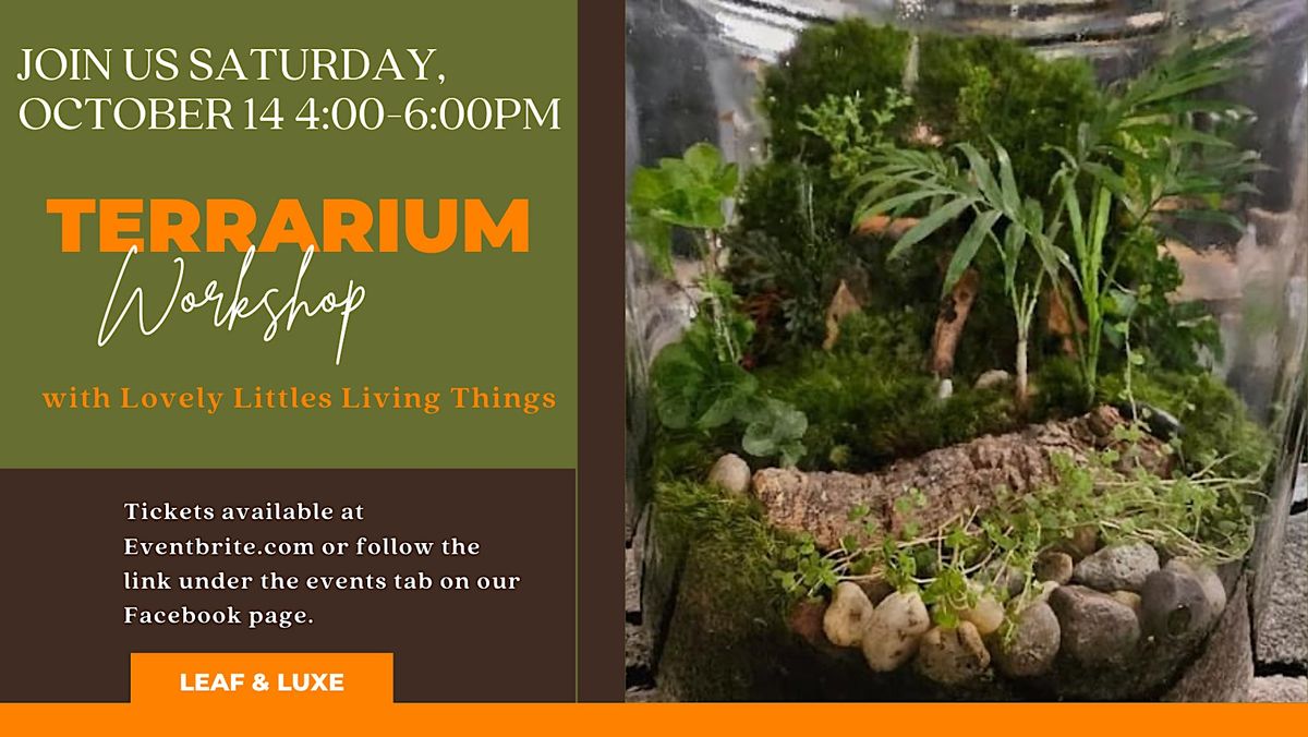 Terrarium with Lovely Littles Living Things, Leaf & Luxe, 400