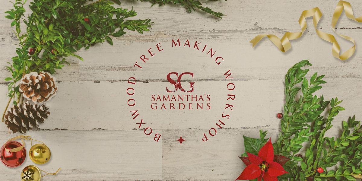 Make Your Own Boxwood Christmas Tree  with Samanthas Gardens | Dec. 8, 2024