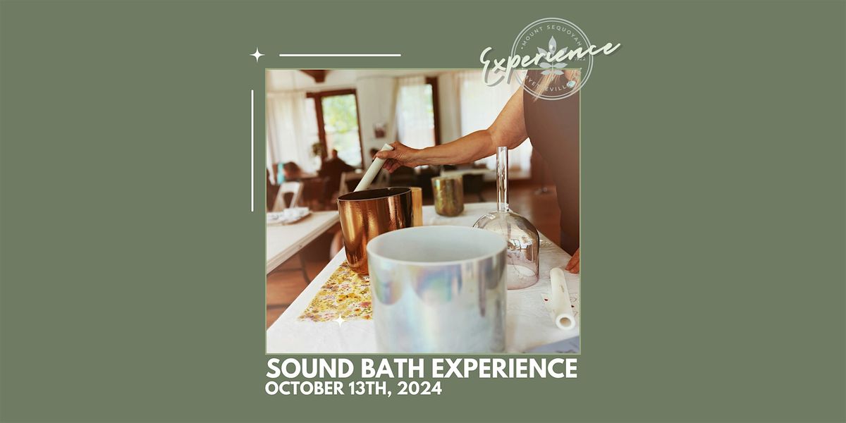 Sound Immersion with Crystal Alchemy Singing Bowls