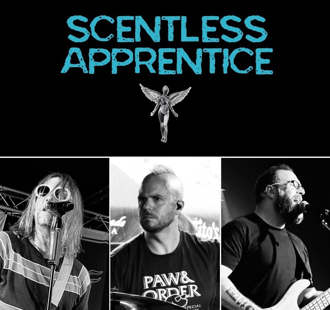 Scentless Apprentice - Nirvana Tribute Showcase