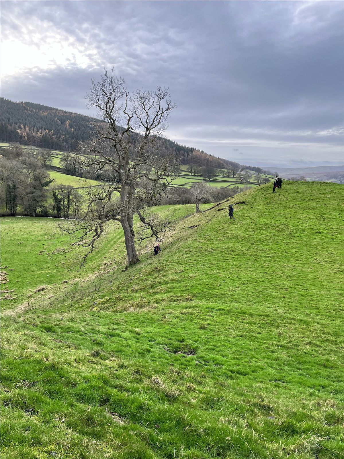 Simons Seat, 12th October. ladies walk