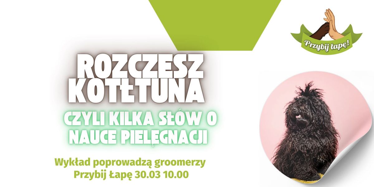 Rozczesz ko\u0142tuna 