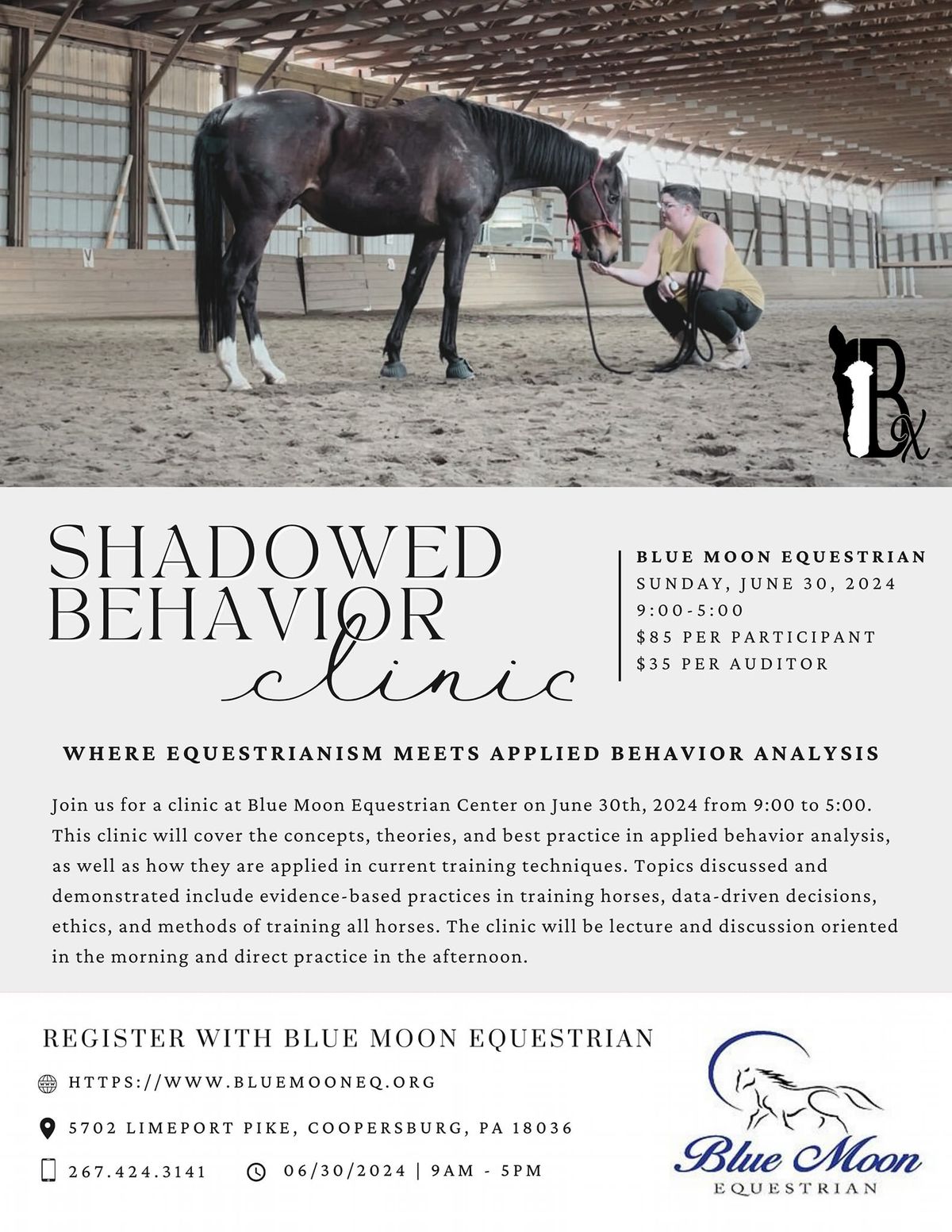 Shadow Behavior Clinic