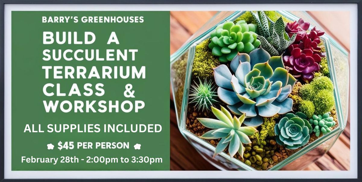 Build A Succulent Terrarium Class & Workshop! 