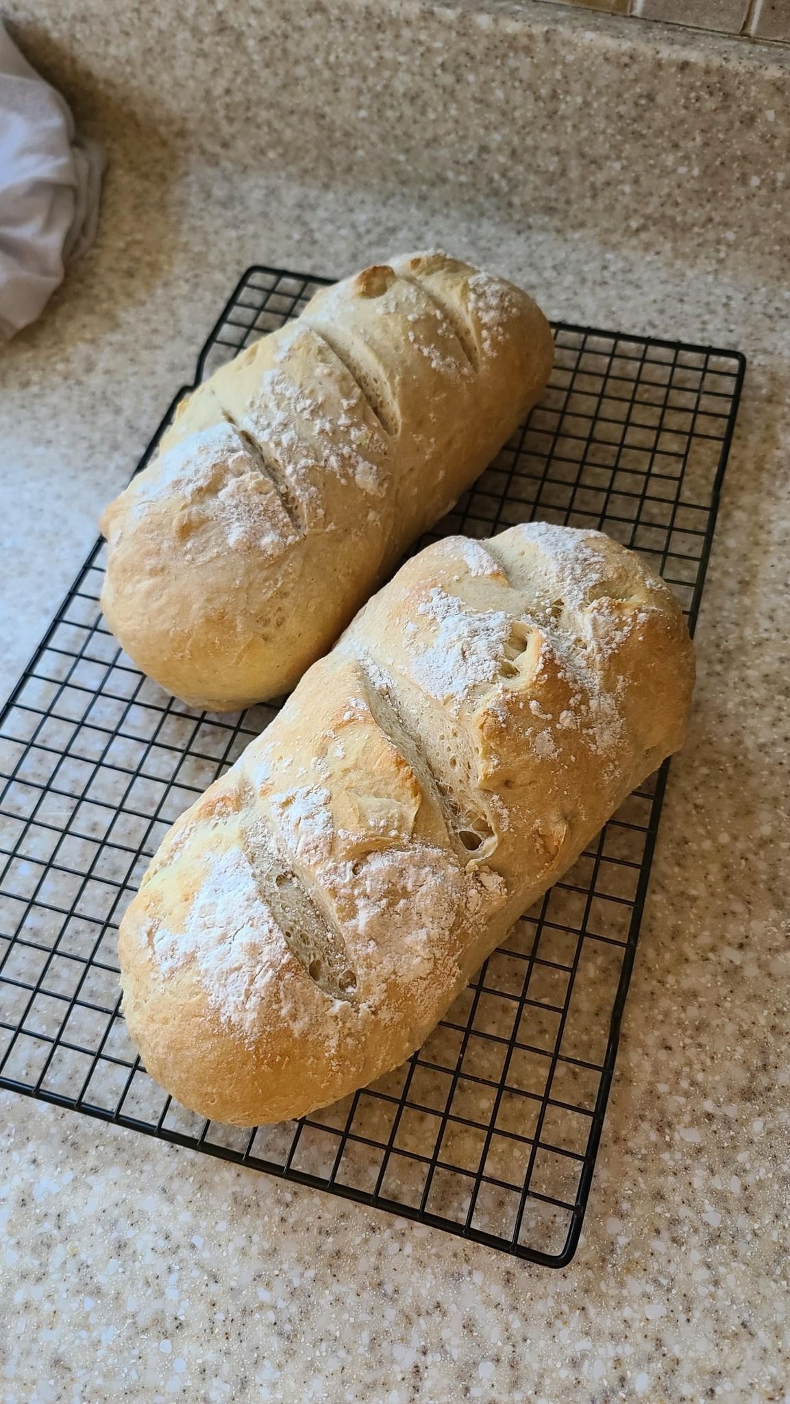 Beginner Sourdough Workshop