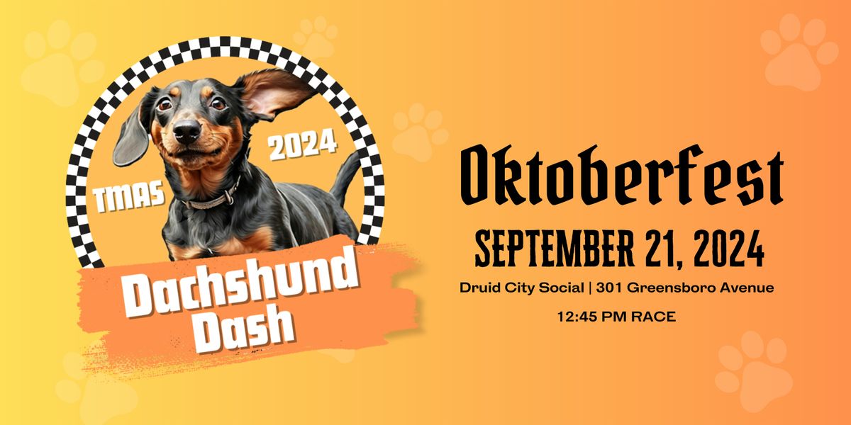 Dachshund Dash 2024